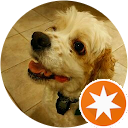 Stephen Lee Stephen Lee